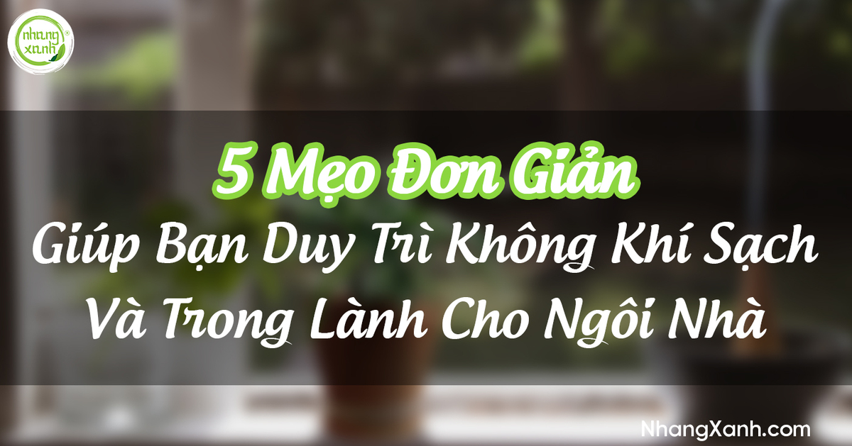 5 Mẹo Đơn Giản Giữ Không Khí Trong Lành Cho Không Gian Sống