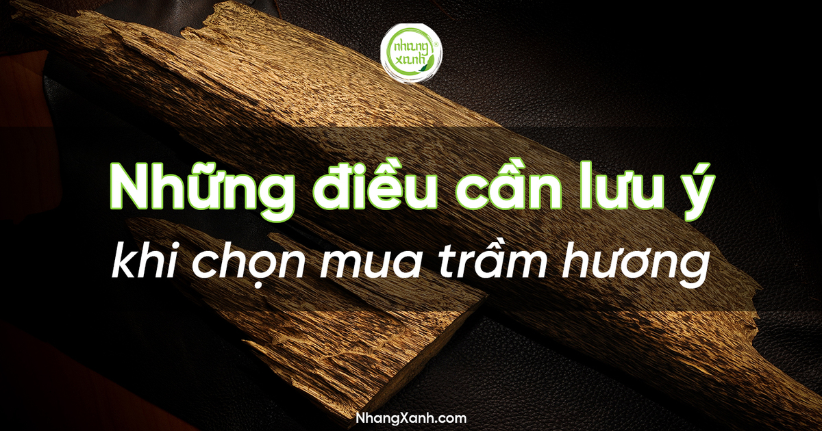 Những điều cần lưu ý khí chọn mua trầm hương