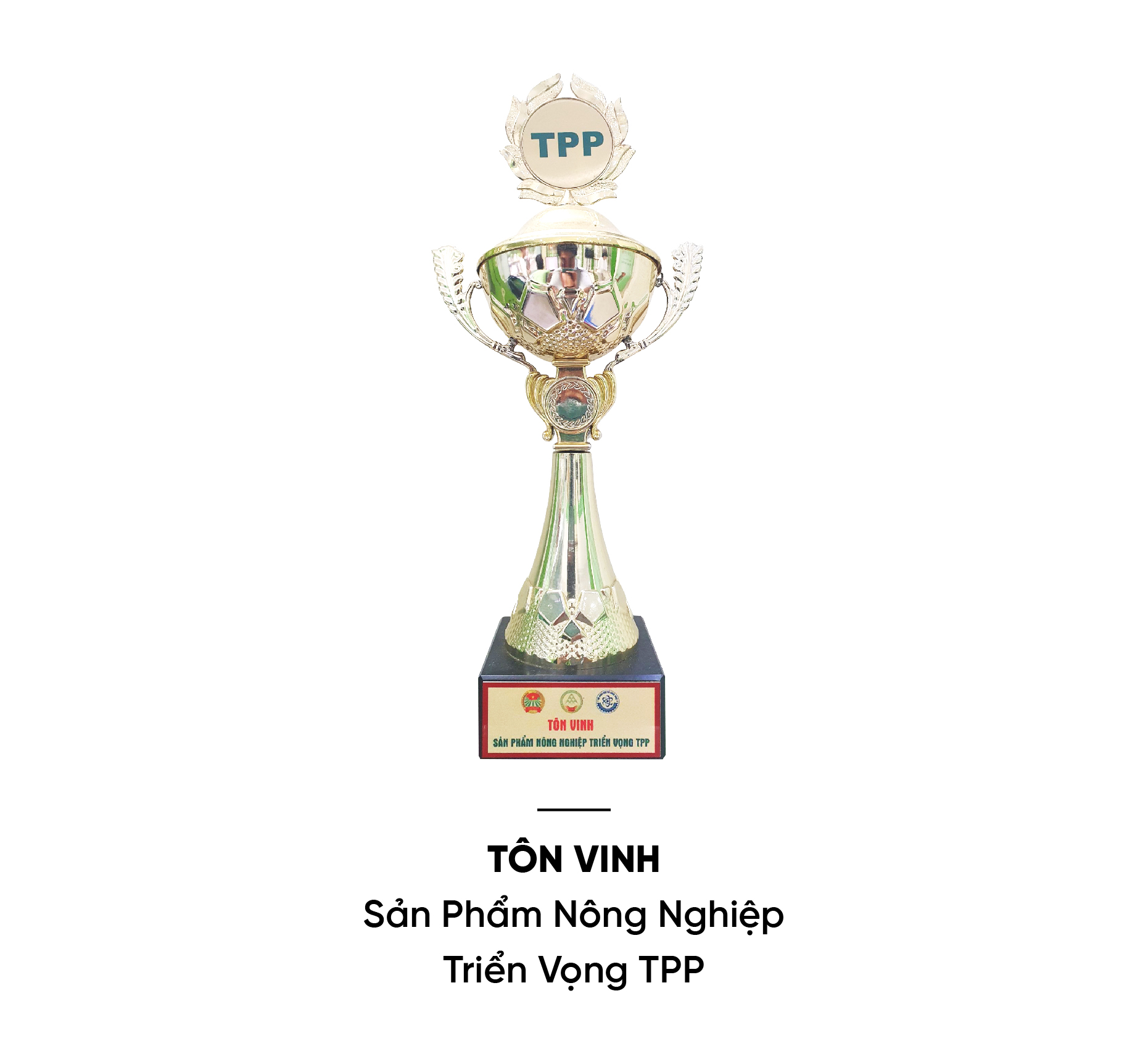 đối tác - thương hiệu