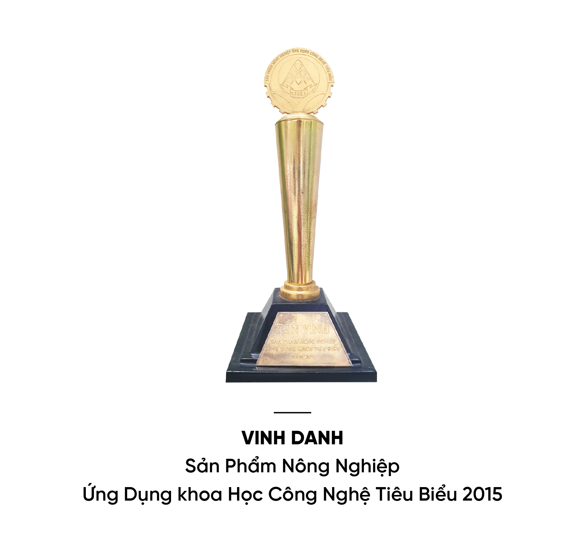 đối tác - thương hiệu