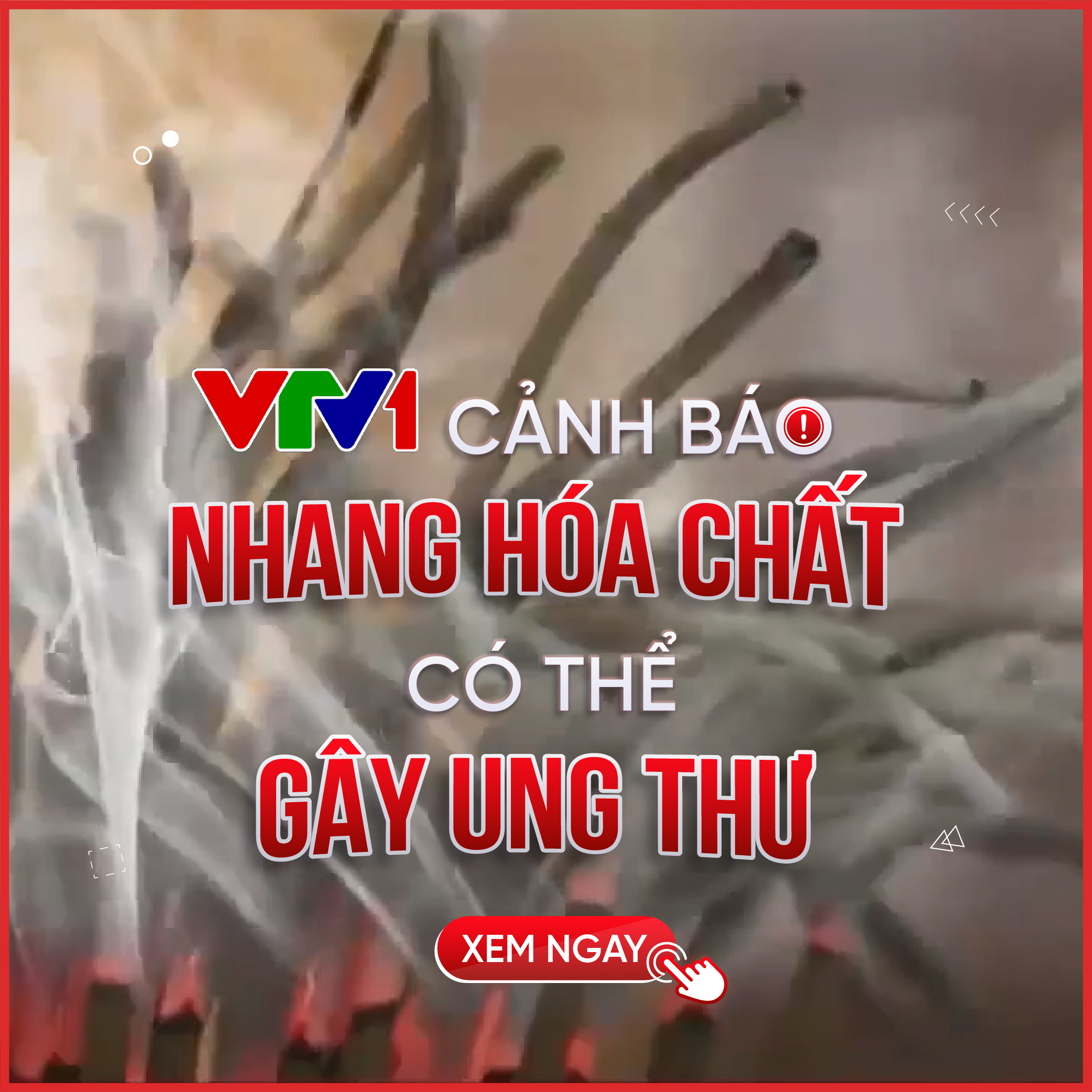 VTV1 cảnh báo nhang hóa chất có thể gây ung thư