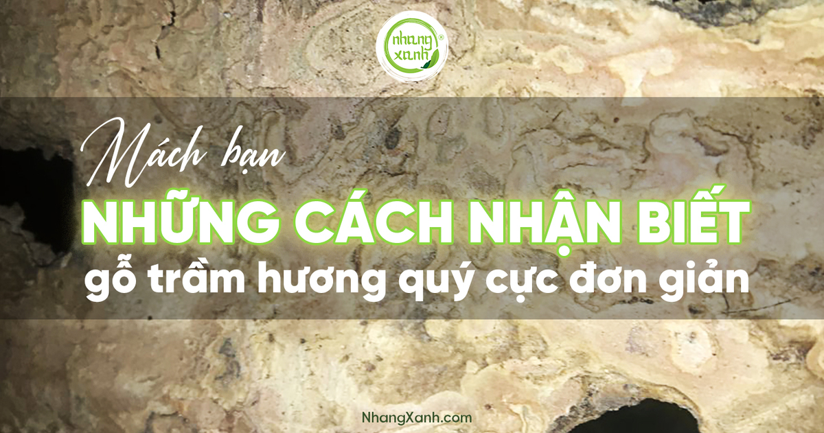 Mách bạn những cách nhận biết gỗ trầm hương quý cực đơn giản