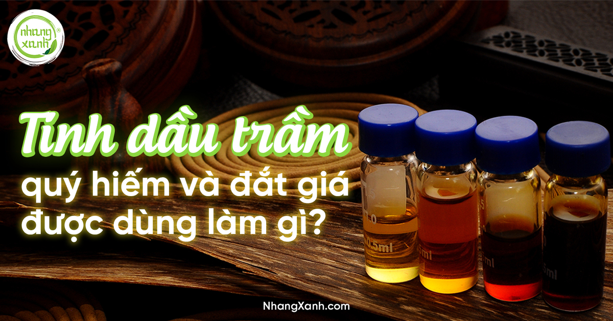 Tinh dầu trầm quý hiếm và đắt giá được dùng để làm gì?