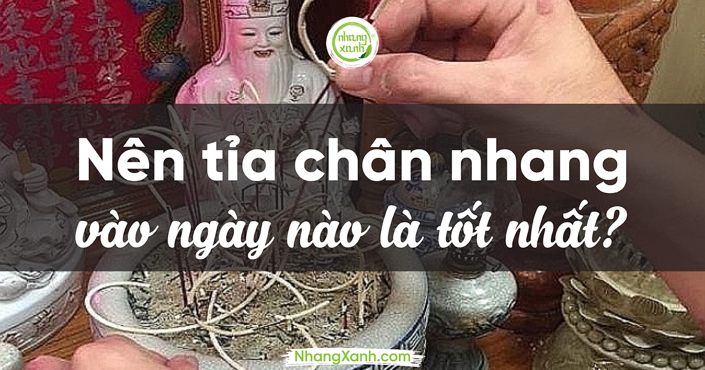 Nên tỉa chân nhang vào ngày nào là tốt nhất?