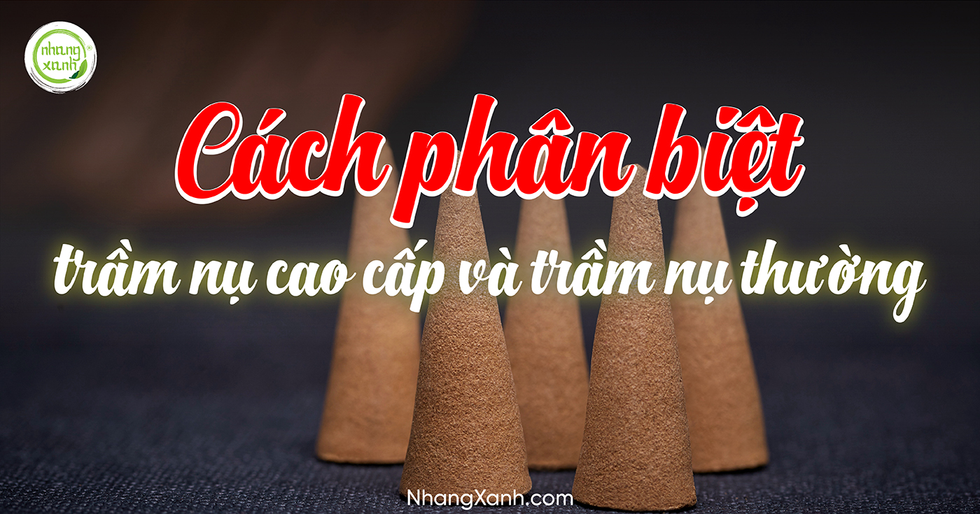 Cách phân biệt trầm nụ cao cấp và trầm nụ thường