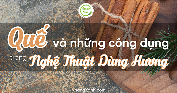 Quế và những công dụng trong nghệ thuật dùng hương