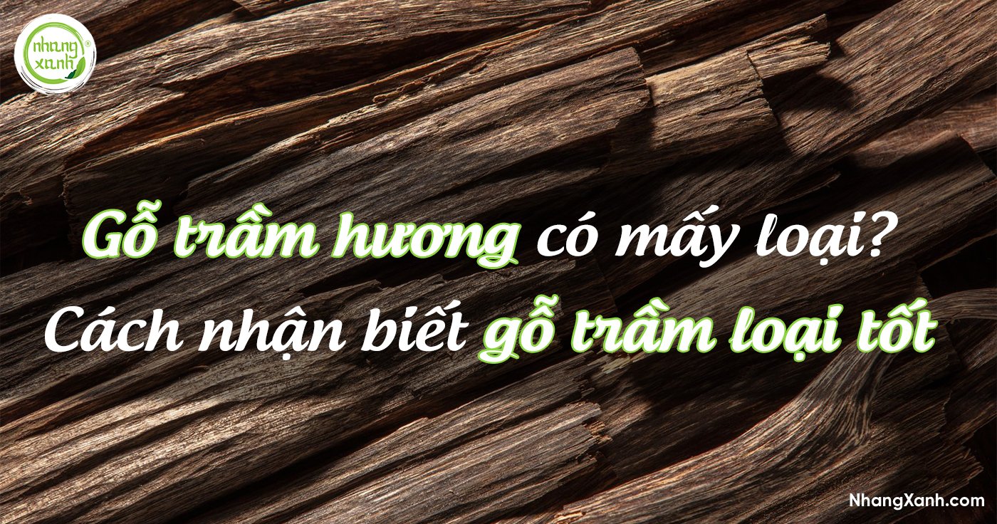 Gỗ trầm hương có mấy loại? Phân biệt các loại gỗ trầm hương